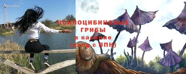 соль ск Алексин