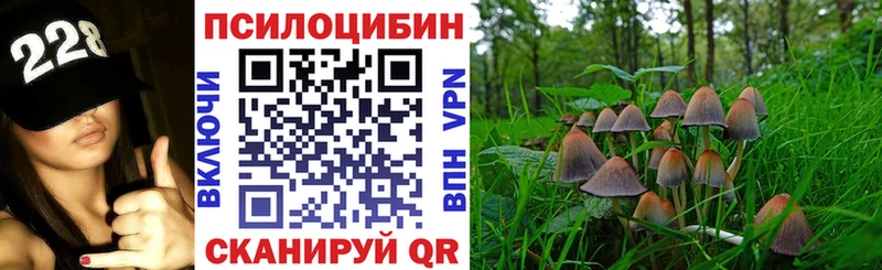 наркошоп Ливны Псилоцибиновые грибы Magic Shrooms